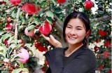 主播推荐的糖心苹果口感如何？值得尝试吗？
