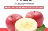 主播推广糖心苹果的合规销售策略与问题分析