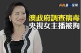 甜美主播的颜值与魅力，谁才是最耀眼的星？
