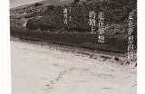 苏心糖：音乐梦想之路上的才华主播