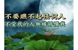 《感人故事：杨善洲的无私奉献与传承精神在线免费观看》