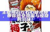 探索糖心的精彩世界：官方Vlog平台全新上线！