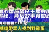 主播糖心小熊的真实身份揭秘，她到底是谁的孩子？