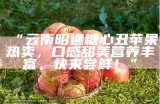 “云南昭通糖心丑苹果热卖，口感甜美营养丰富，快来尝鲜！”