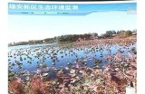 甜蜜生活记录：糖心Vlog探秘色斑与护肤秘籍官网分享