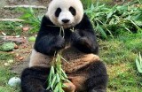 主播糖心小熊的家庭背景大揭秘，她的父母是谁？