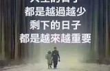 让我们一起探索精彩的糖心主播直播平台，享受丰富的在线内容与互动体验。