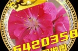 甜美少女主播头像设计，展现个性与魅力！