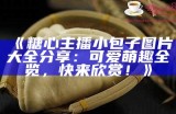 《糖心主播小包子图片大全分享：可爱萌趣全览，快来欣赏！》