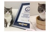 “甜美可爱的小猫主播，带你进入糖心世界！”