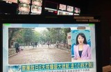 甜美主播糖心的崛起之路：从默默无闻到人气明星