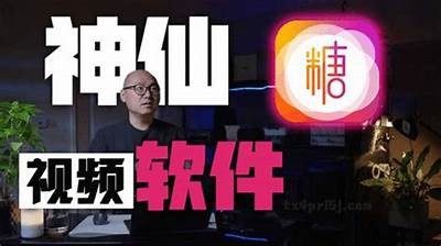 《糖心Vlog：探索主播日常生活与创作灵感》