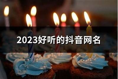 2023年热门男主播网名推荐大全,彰显个性与魅力