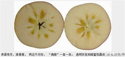 探索糖心苹果主播的魅力与特色，揭秘独特直播之旅！