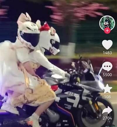 《甜美主播安安的直播日常与互动分享》