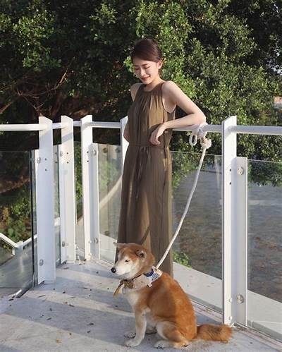 甜美主播Chloe：与粉丝分享生活点滴与游戏精彩瞬间