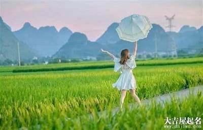 2023年热门男主播网名推荐大全,彰显个性与魅力