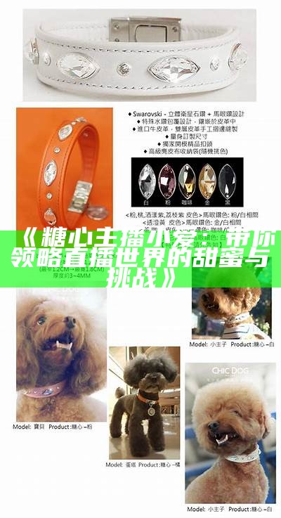 抖音直播热销：探秘糖心苹果的魅力与主播推荐