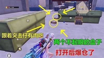 绝地求生国际服：探索糖心主播精彩直播瞬间与游戏技巧