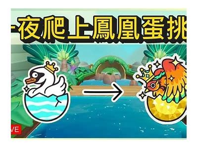 主播蛋仔：揭秘甜蜜时刻与成长之路的糖心故事