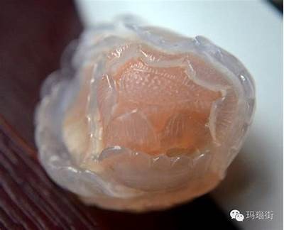 热爱分享的安安老师：糖心UP主播的成长与趣事