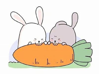 热爱分享的安安老师：糖心UP主播的成长与趣事