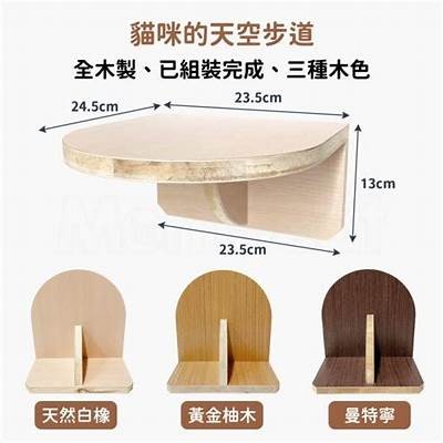 主播柚子猫：如糖心般甜美的直播体验