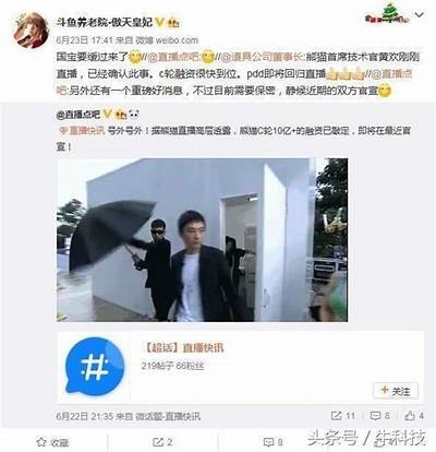 熊猫直播平台新星：糖心主播的精彩旅程与互动魅力
