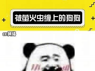 甜蜜温馨的网络主播爱情故事推荐，快来感受不一样的情感世界！