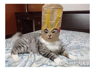 主播柚子猫：如糖心般甜美的直播体验