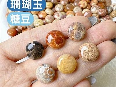糖心主播在线直播观看入口，畅享精彩内容与互动体验
