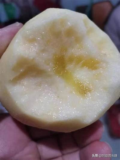 “探寻糖心苹果的魅力，谁是这款水果的代言主播？”