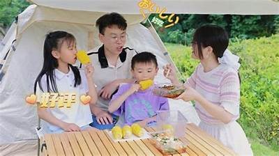 《糖心Vlog精彩之旅：探索生活的每一个甜蜜瞬间》