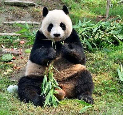 主播糖心小熊的家庭背景大揭秘，她的父母是谁？