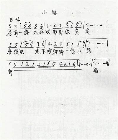 合唱主播苏心糖：音乐与情感的完美交融与分享