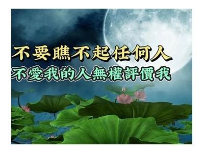 《感人故事：杨善洲的无私奉献与传承精神在线免费观看》