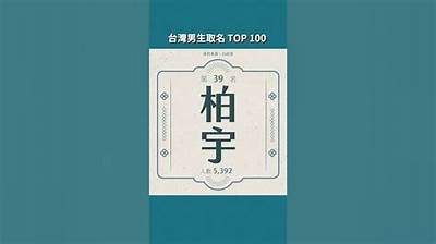 男主播名字大全：精选糖心风格的魅力昵称分享