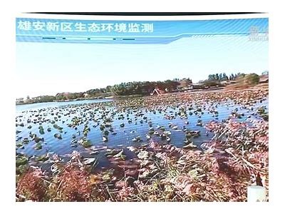 甜蜜生活记录：糖心Vlog探秘色斑与护肤秘籍官网分享
